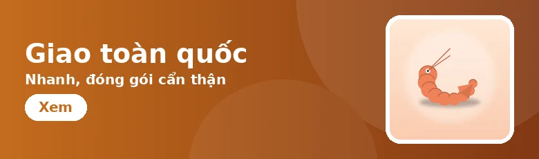 Giao toàn quốc — Nhanh, đóng gói cẩn thận