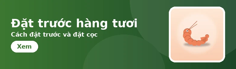 Đặt hàng tươi theo đợt — Cách đặt hàng và đặt cọc