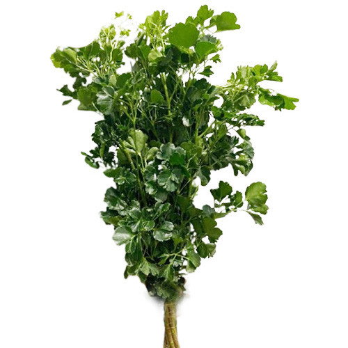 Đinh Lăng